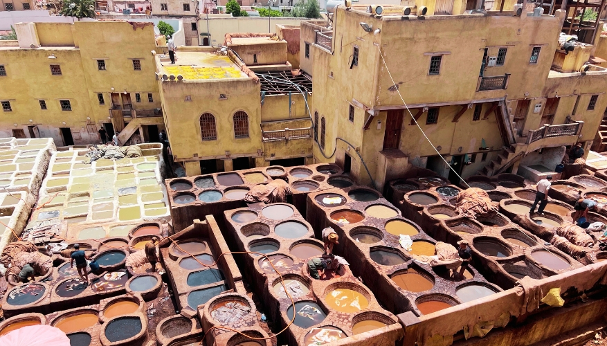 Fes, Tannery